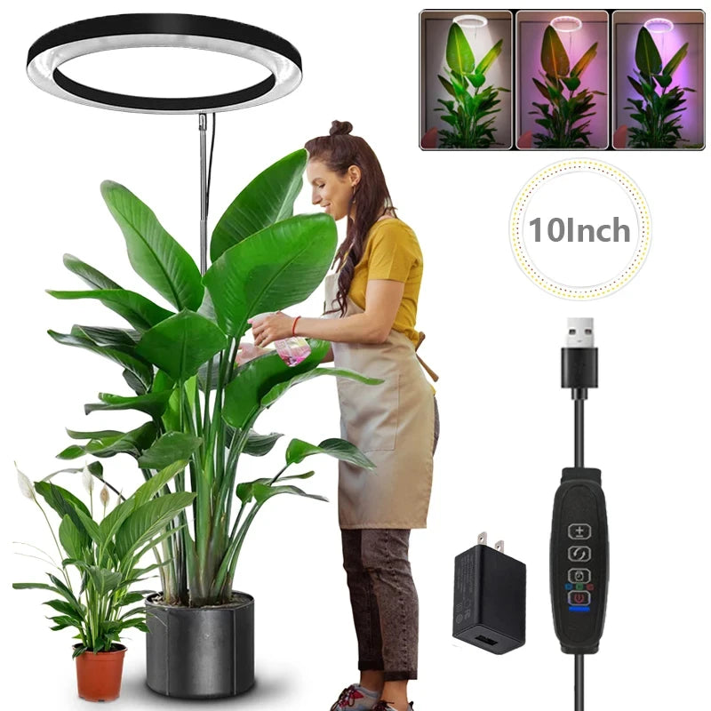 165cm Height Adjustable LED Grow Light – Full Spectrum for Indoor Plants