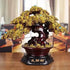Feng Shui Lucky Fortune Tree Ornament made of gold coins and wood, enhancing any living space with luck and prosperity.