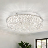 Crystal ceiling light fixture in a room with a plant and window.