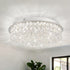 Crystal ceiling light fixture in a room with a plant and window.